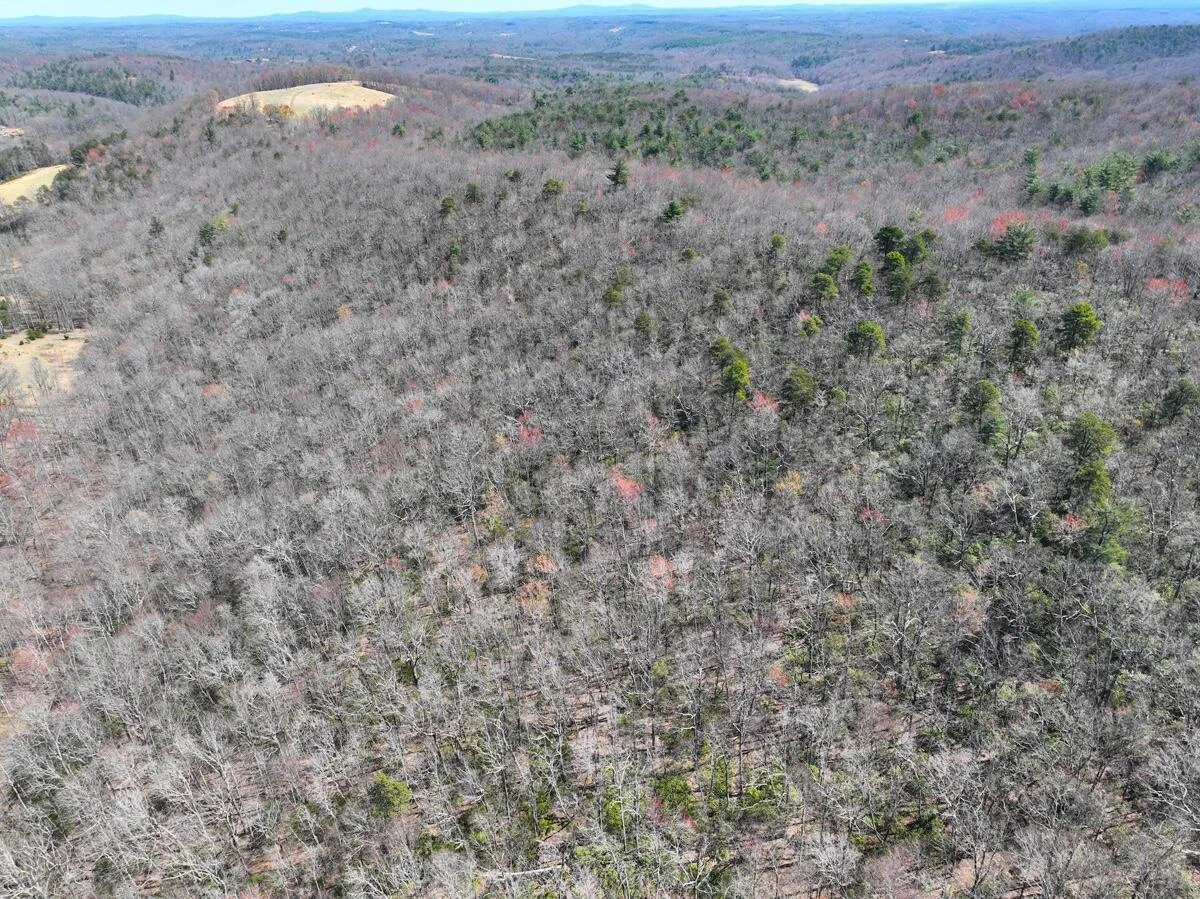 0 Blueberry LN - Photo 14