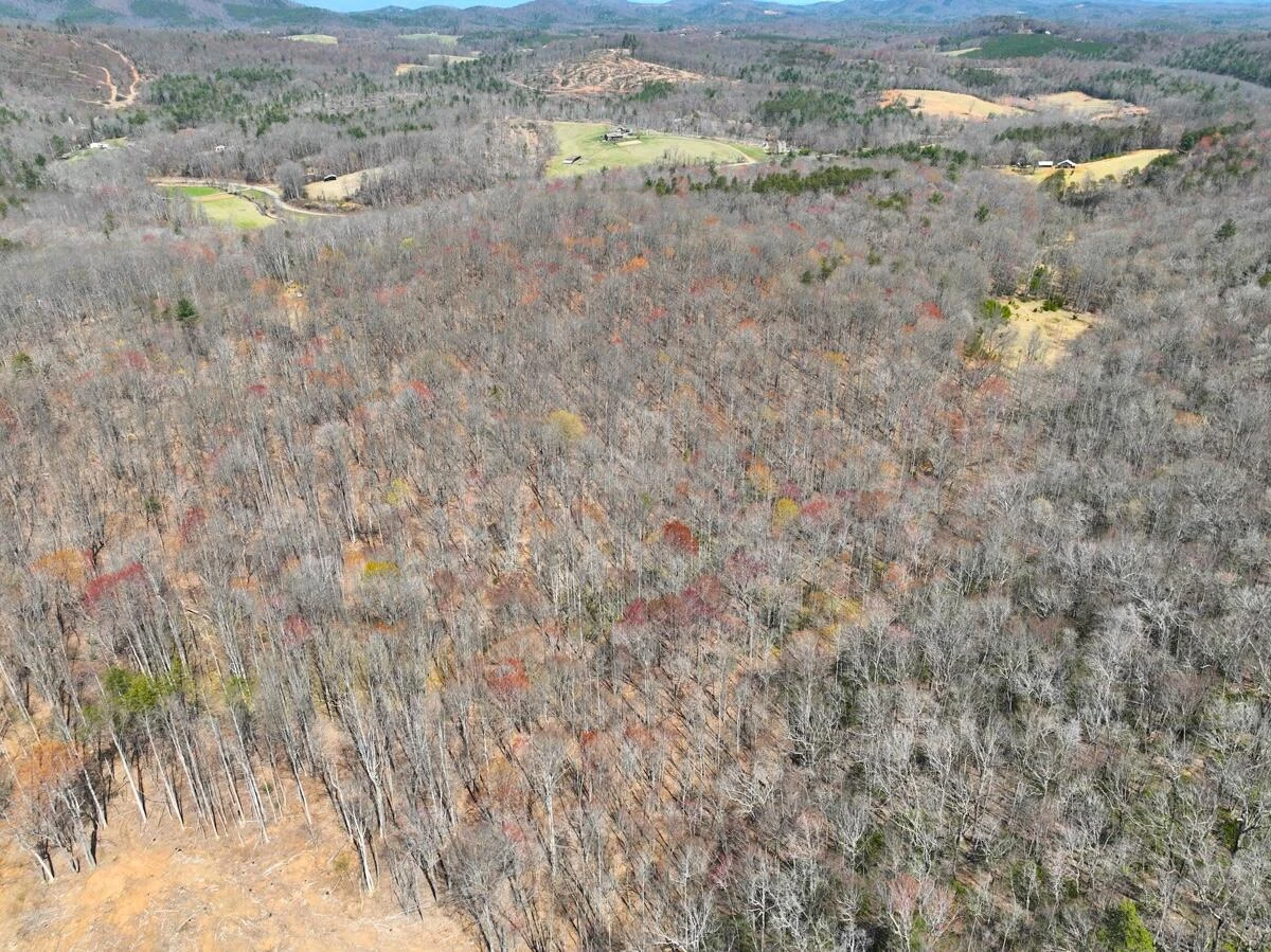 0 Blueberry LN - Photo 17