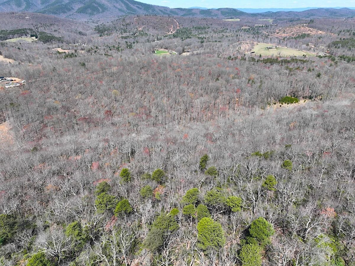 0 Blueberry LN - Photo 18