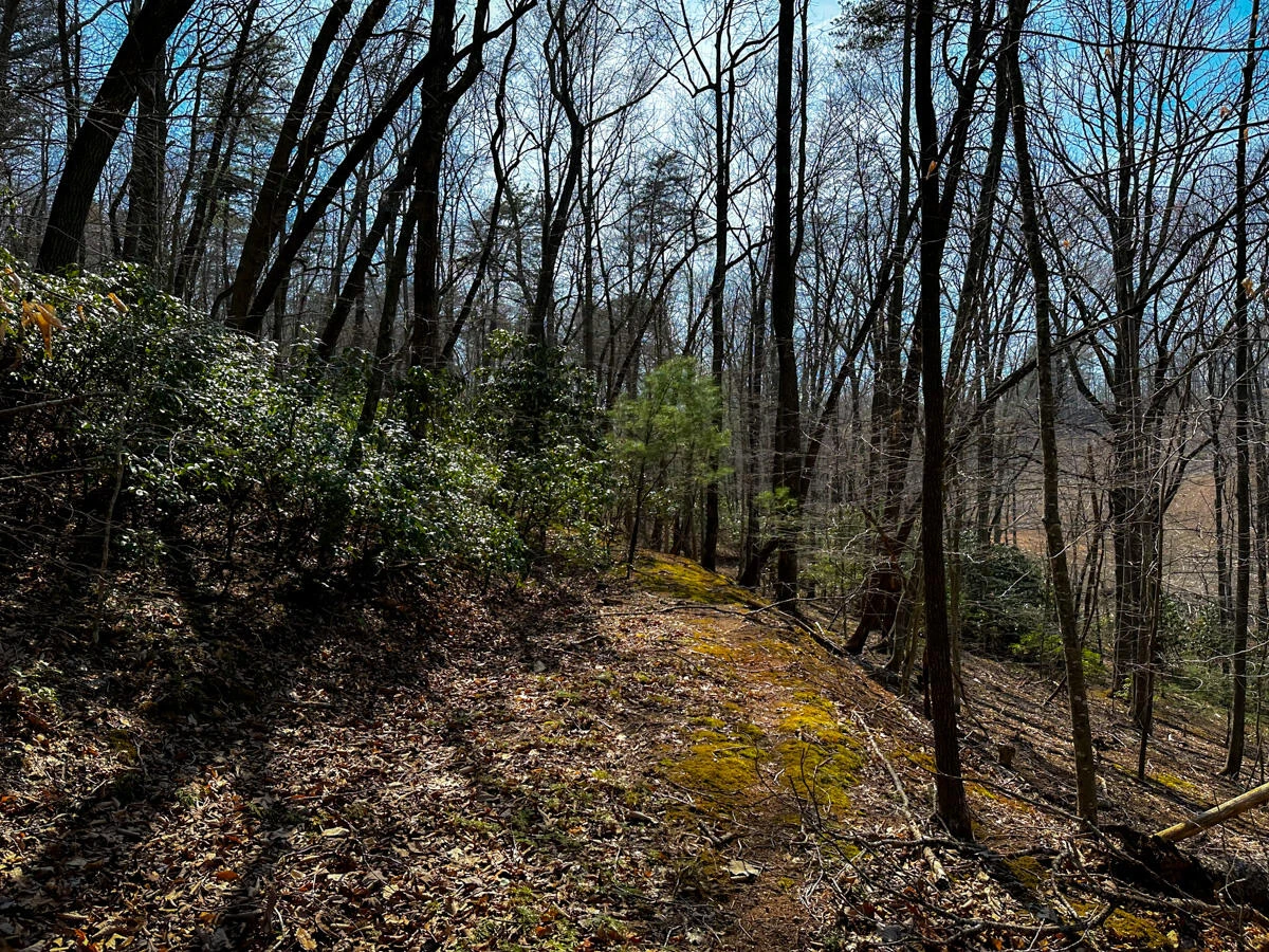 0 Blueberry LN - Photo 19
