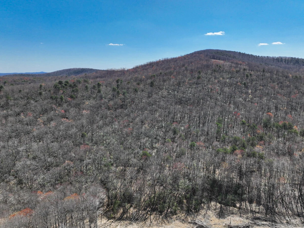 0 Blueberry LN - Photo 2