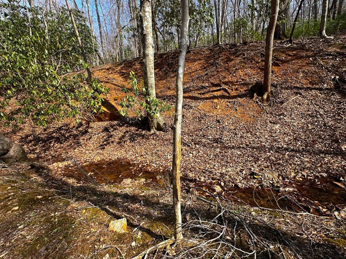 0 Blueberry LN - Photo 22