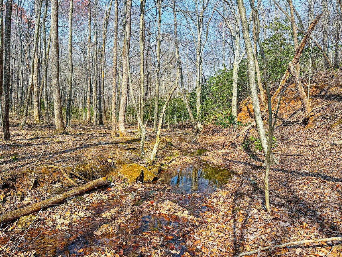 0 Blueberry LN - Photo 24