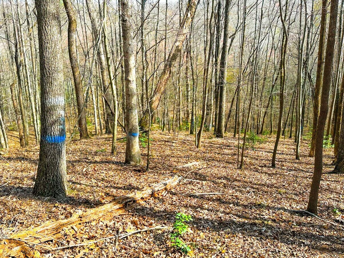 0 Blueberry LN - Photo 25