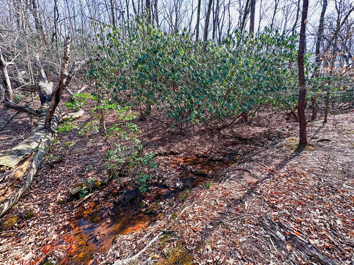0 Blueberry LN - Photo 26