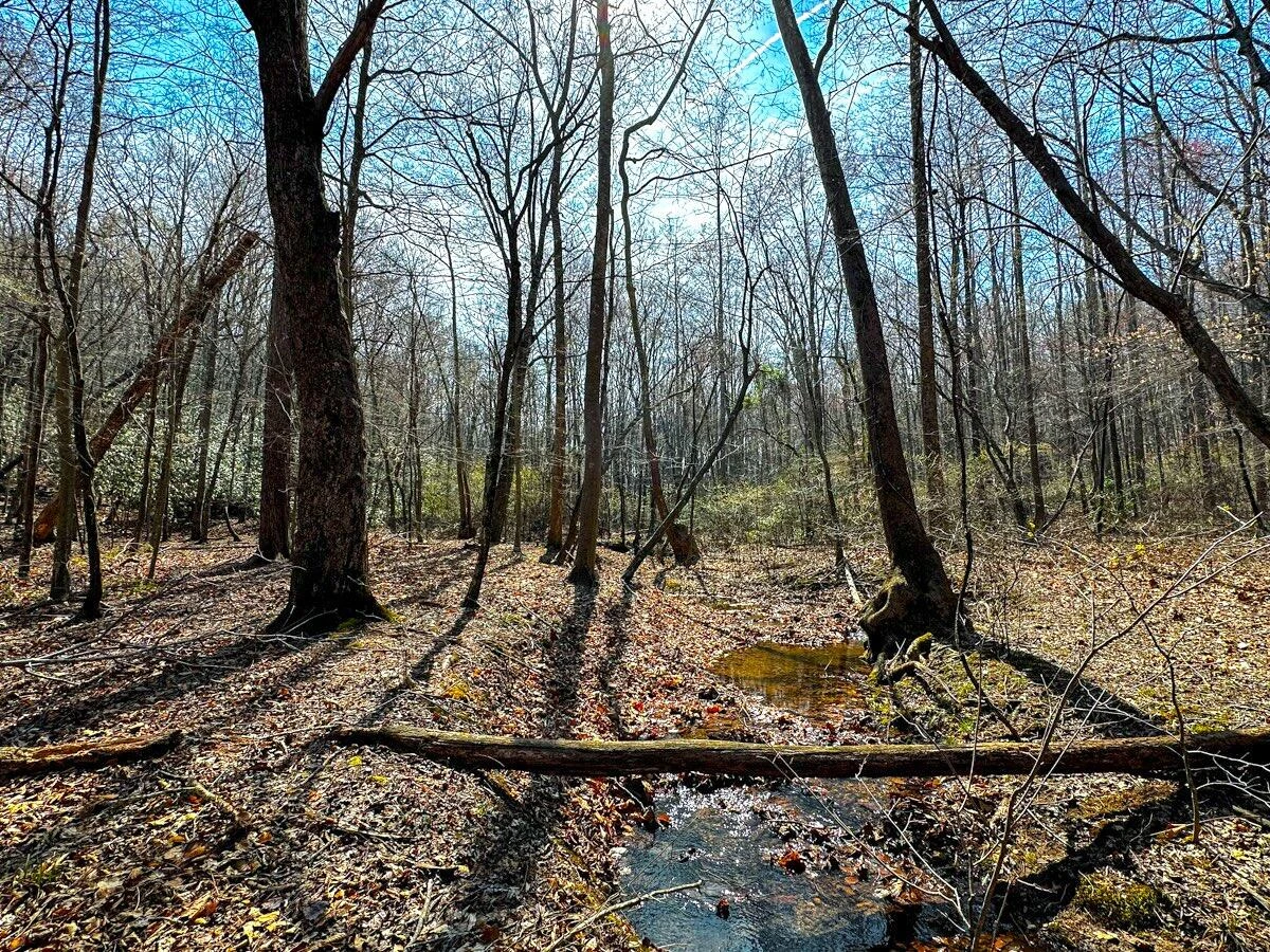 0 Blueberry LN - Photo 4