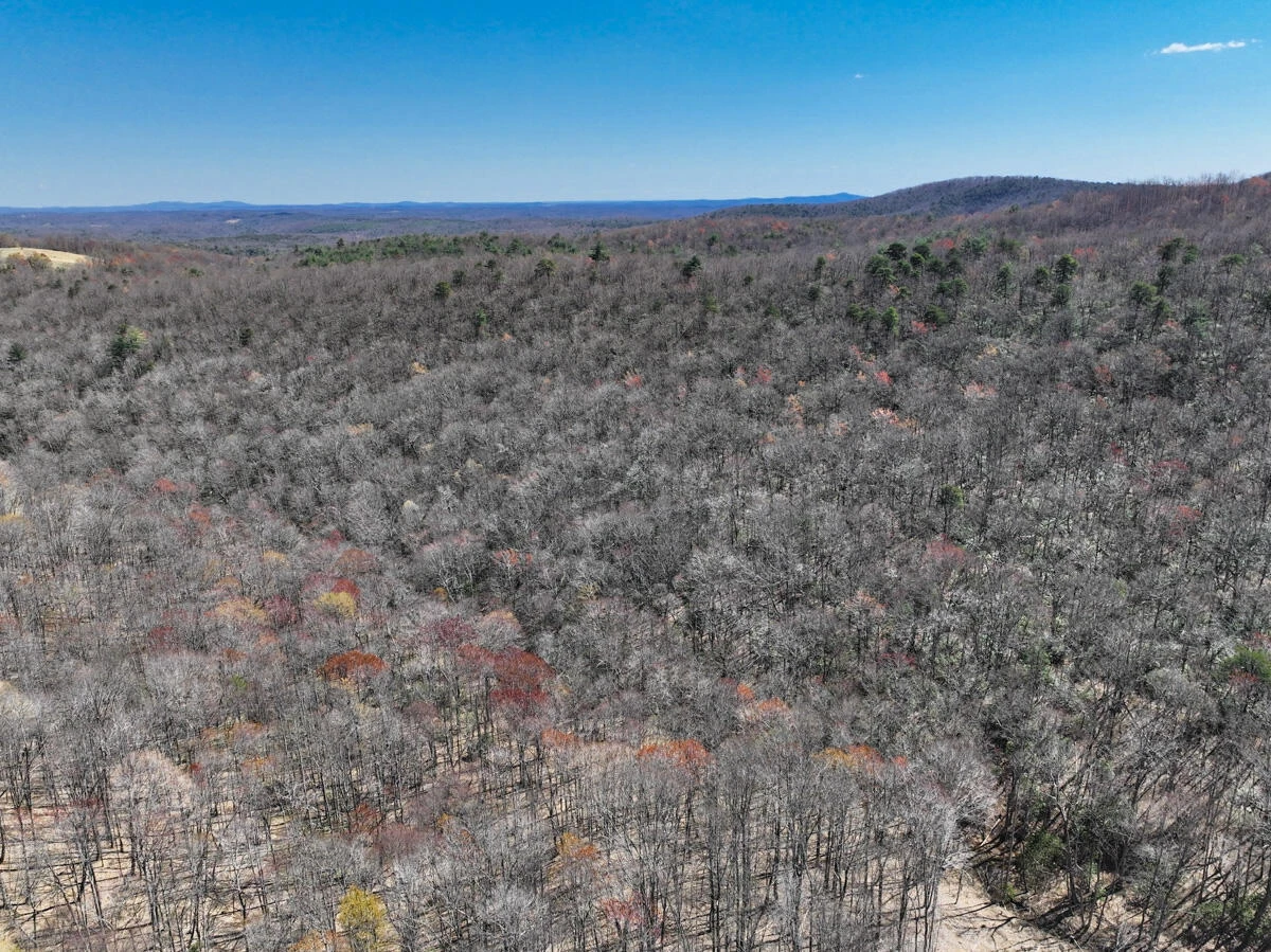 0 Blueberry LN - Photo 5