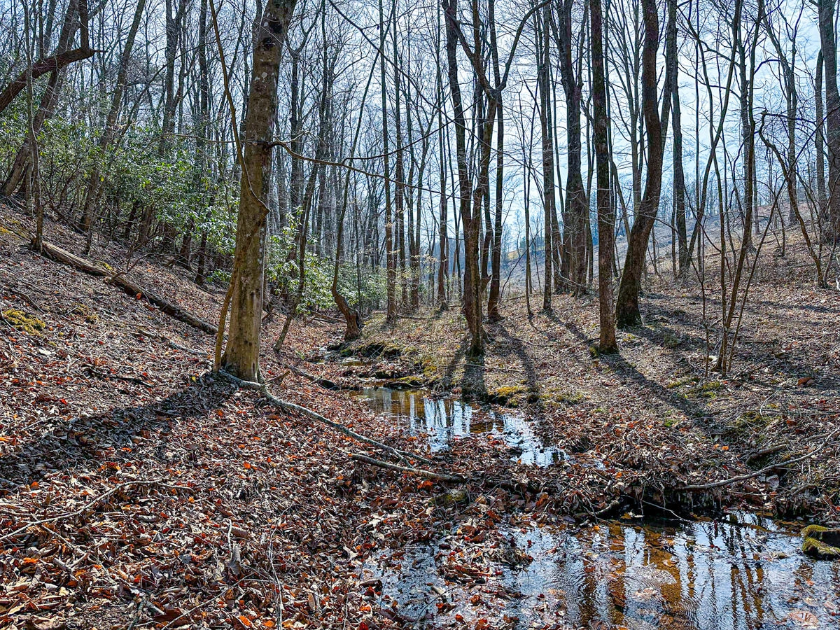 0 Blueberry LN - Photo 6