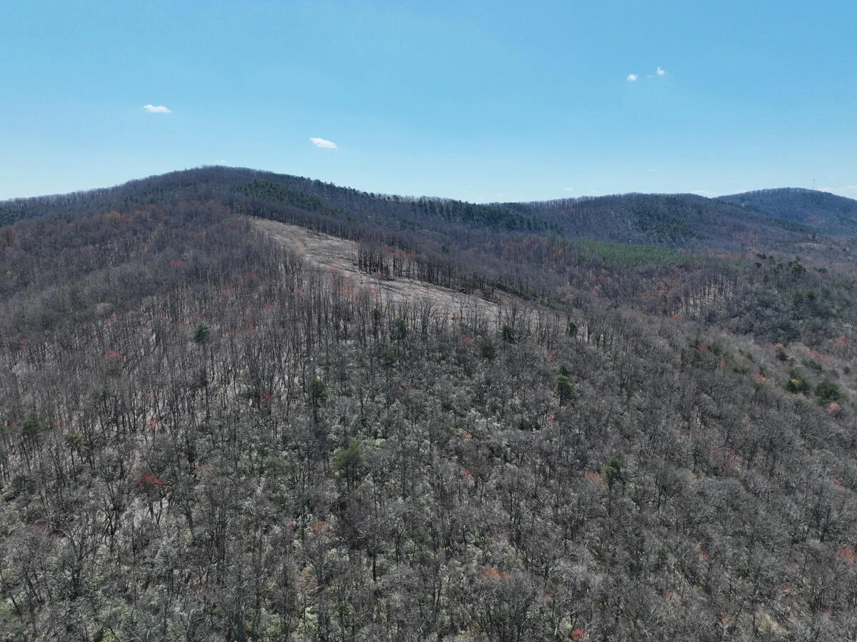 0 Blueberry LN - Photo 8