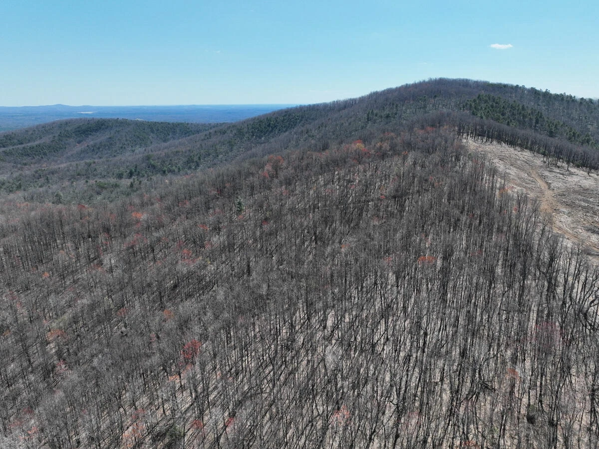 0 Blueberry LN - Photo 9