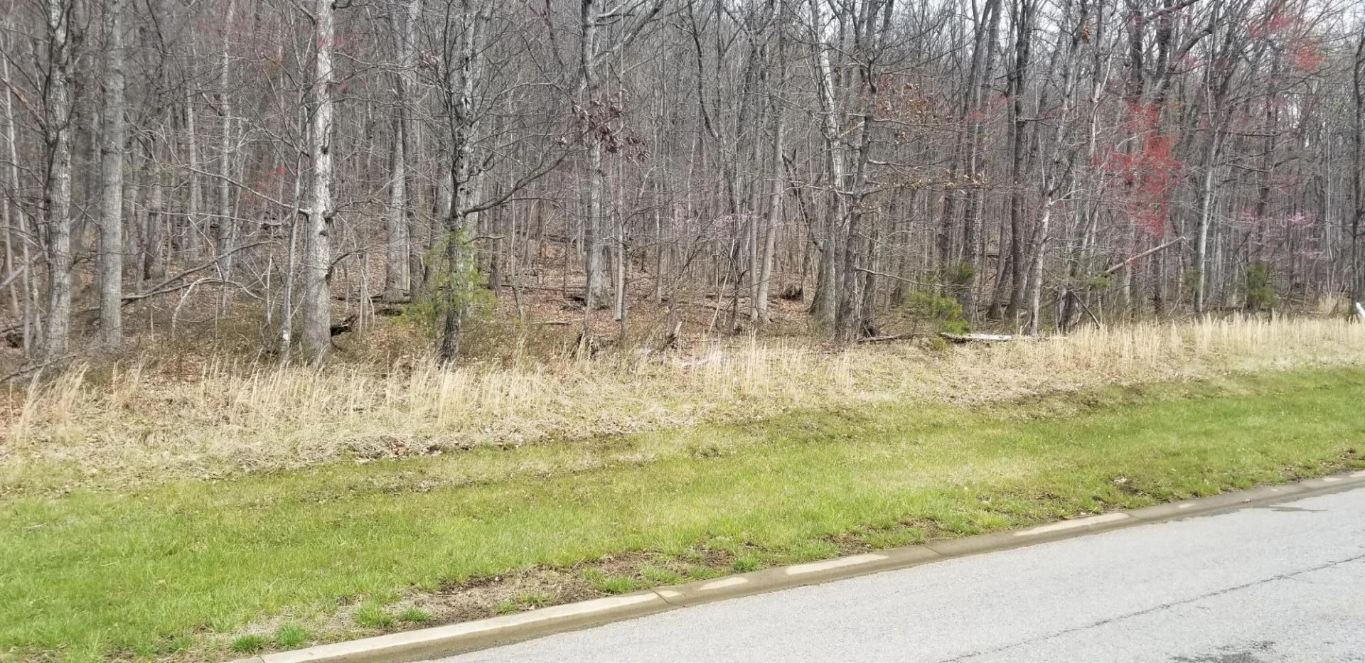 LOT 5 SUMMIT DR - Photo 4