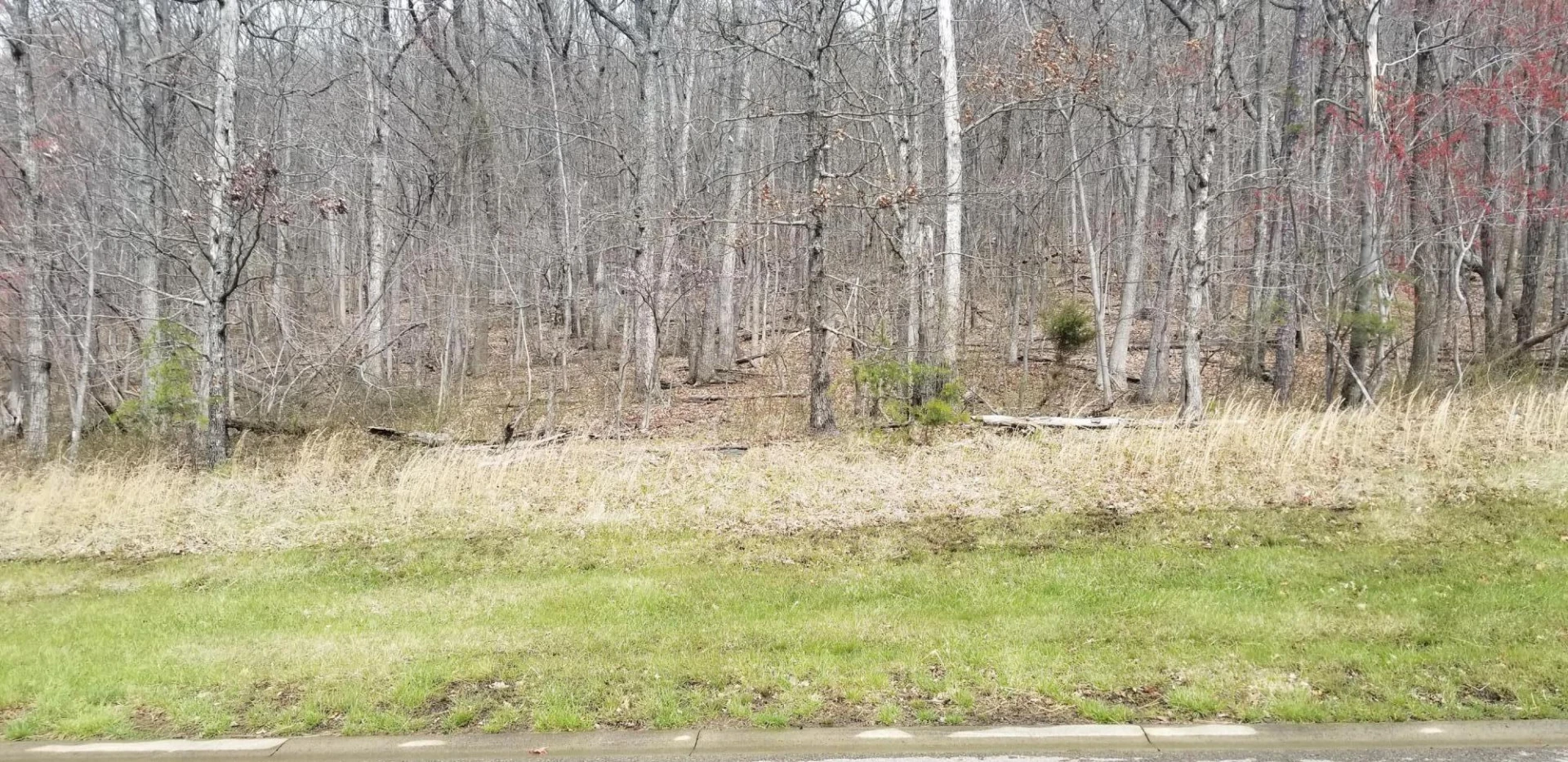 LOT 5 SUMMIT DR - Photo 5