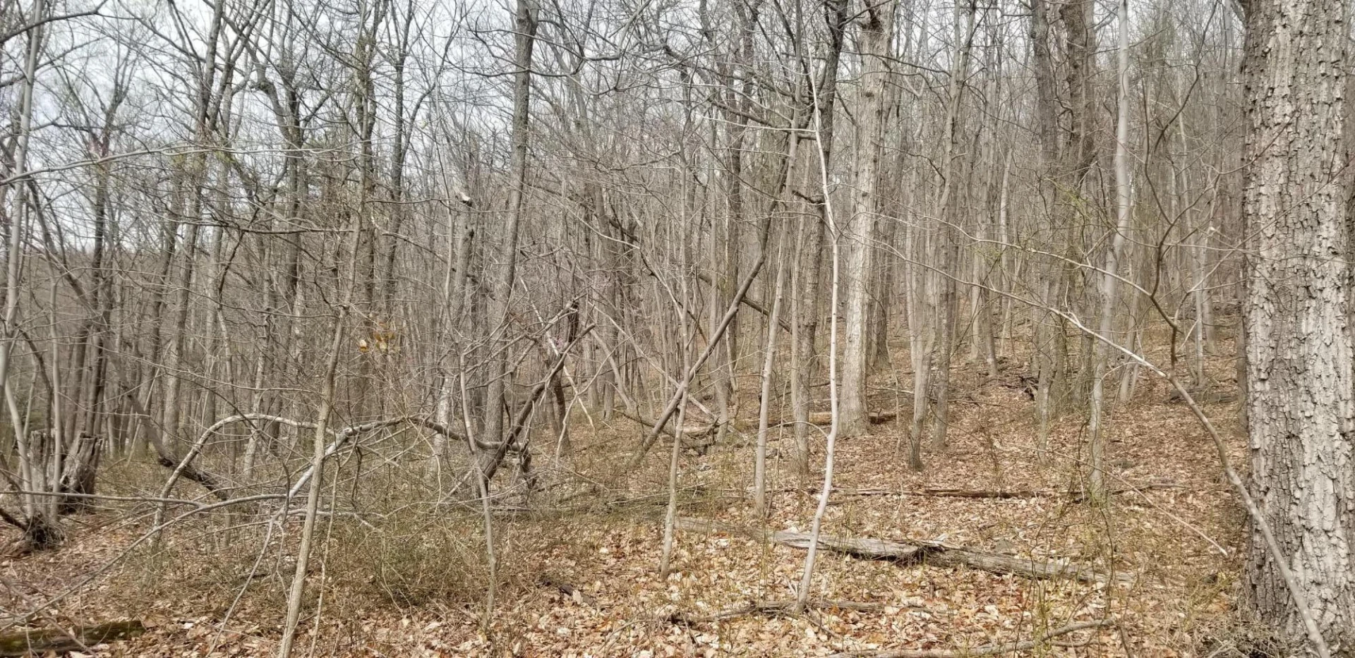 LOT 5 SUMMIT DR - Photo 6