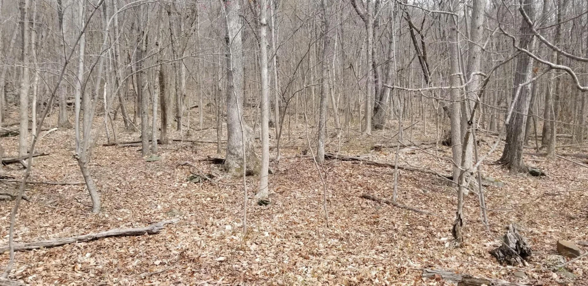 LOT 5 SUMMIT DR - Photo 7
