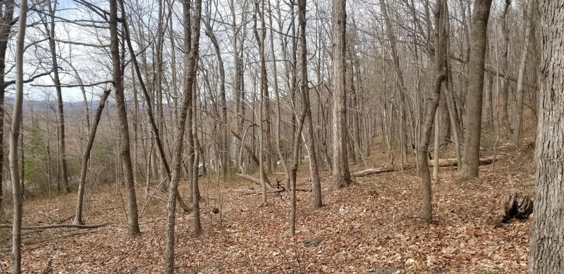 LOT 5 SUMMIT DR - Photo 8
