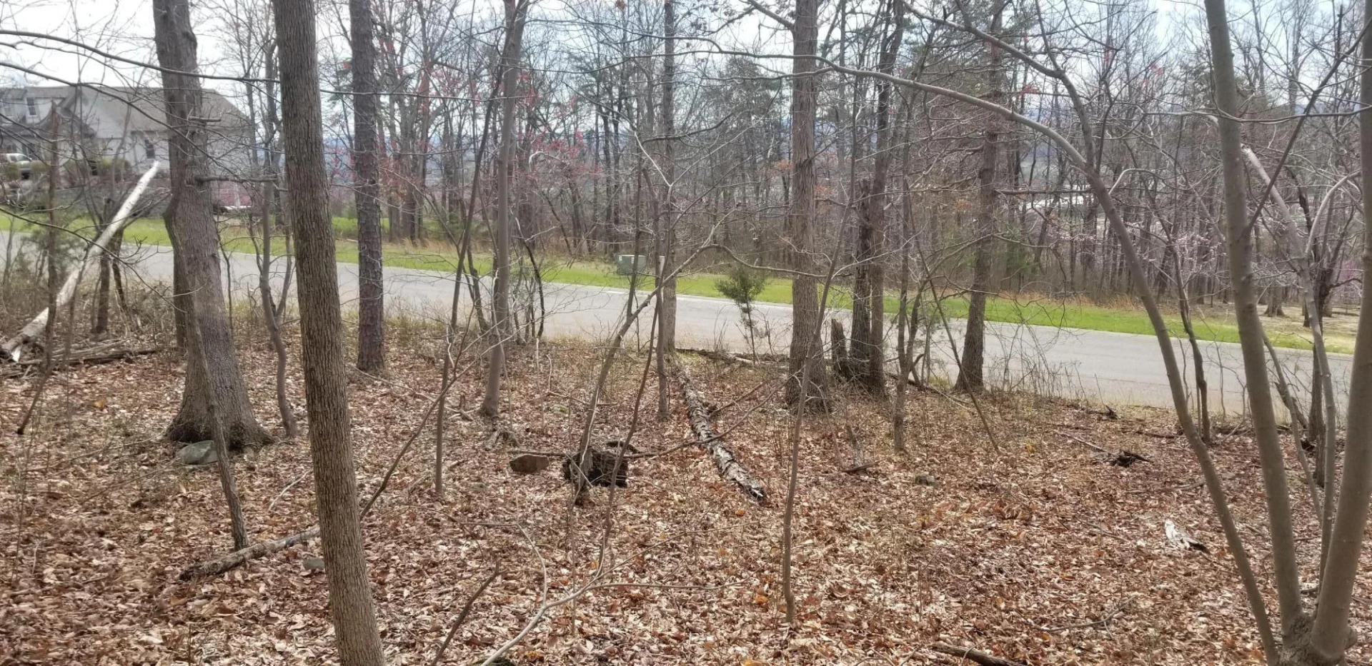 LOT 5 SUMMIT DR - Photo 9