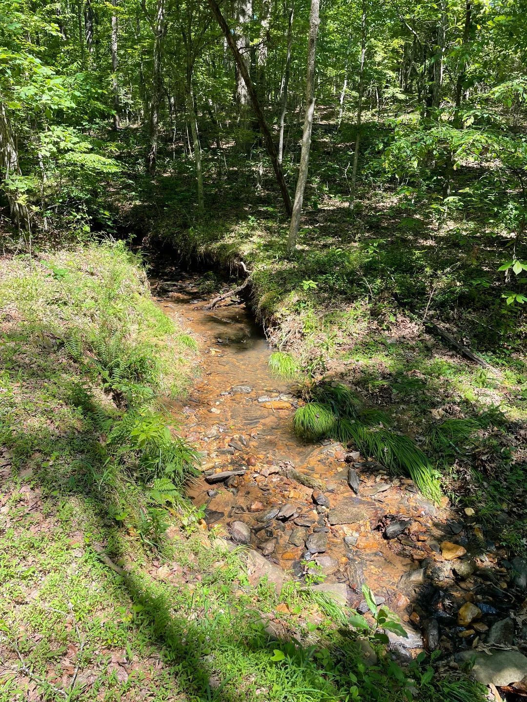 LOT9 GREYSTONE DR - Photo 10
