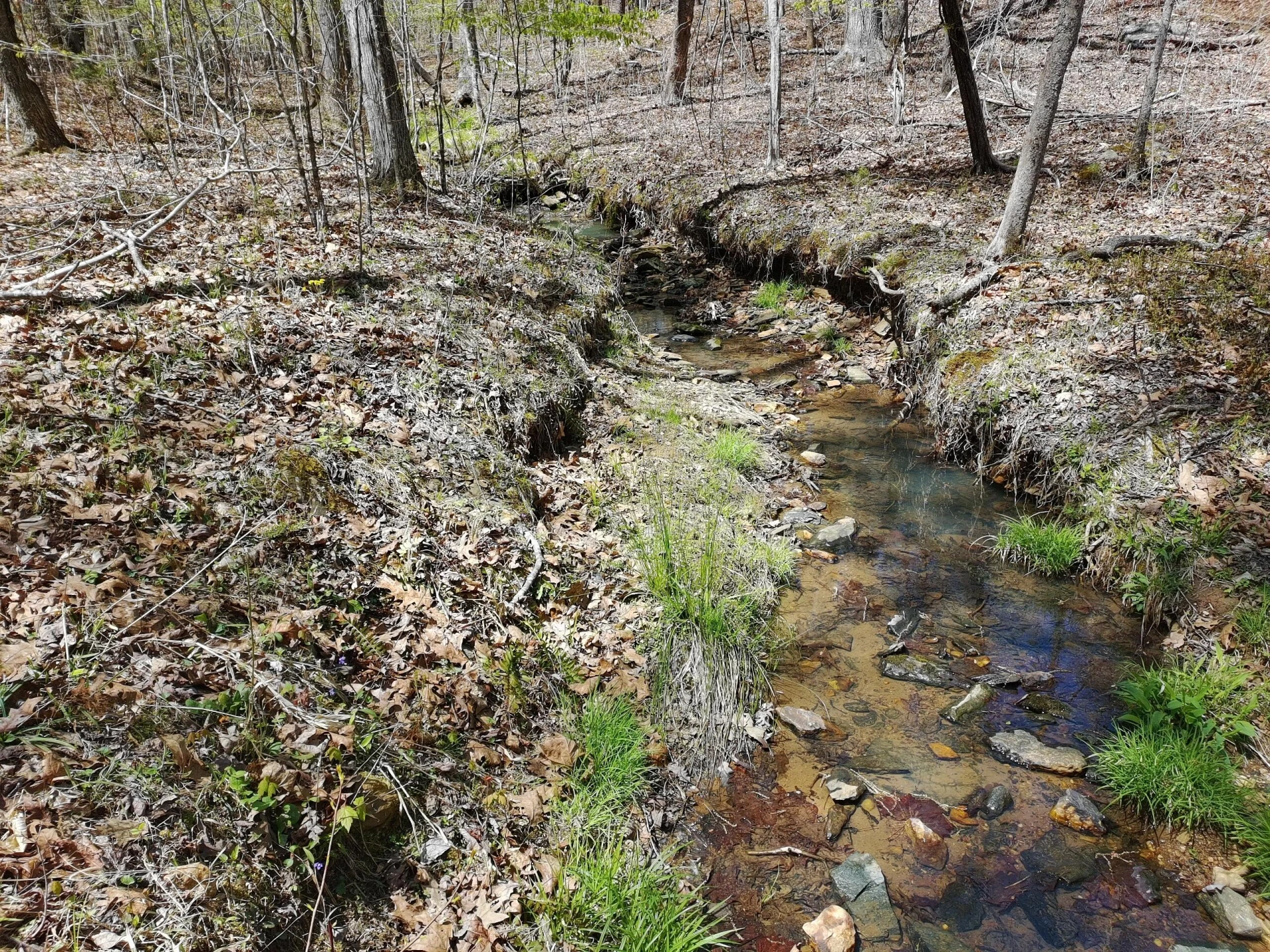 LOT9 GREYSTONE DR - Photo 3