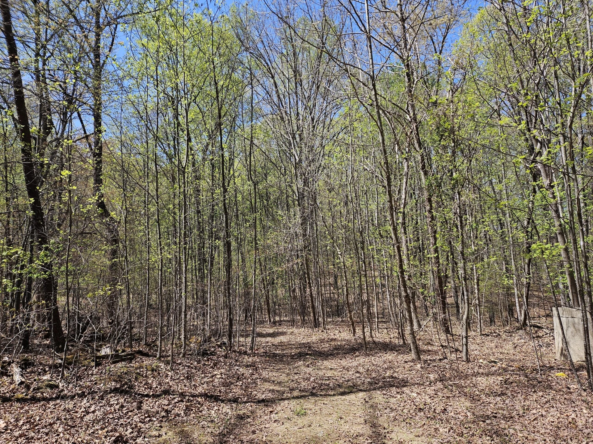LOT9 GREYSTONE DR - Photo 5
