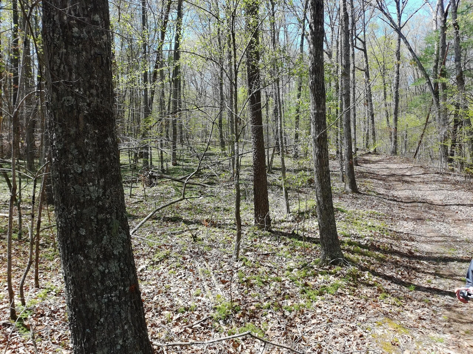LOT9 GREYSTONE DR - Photo 6