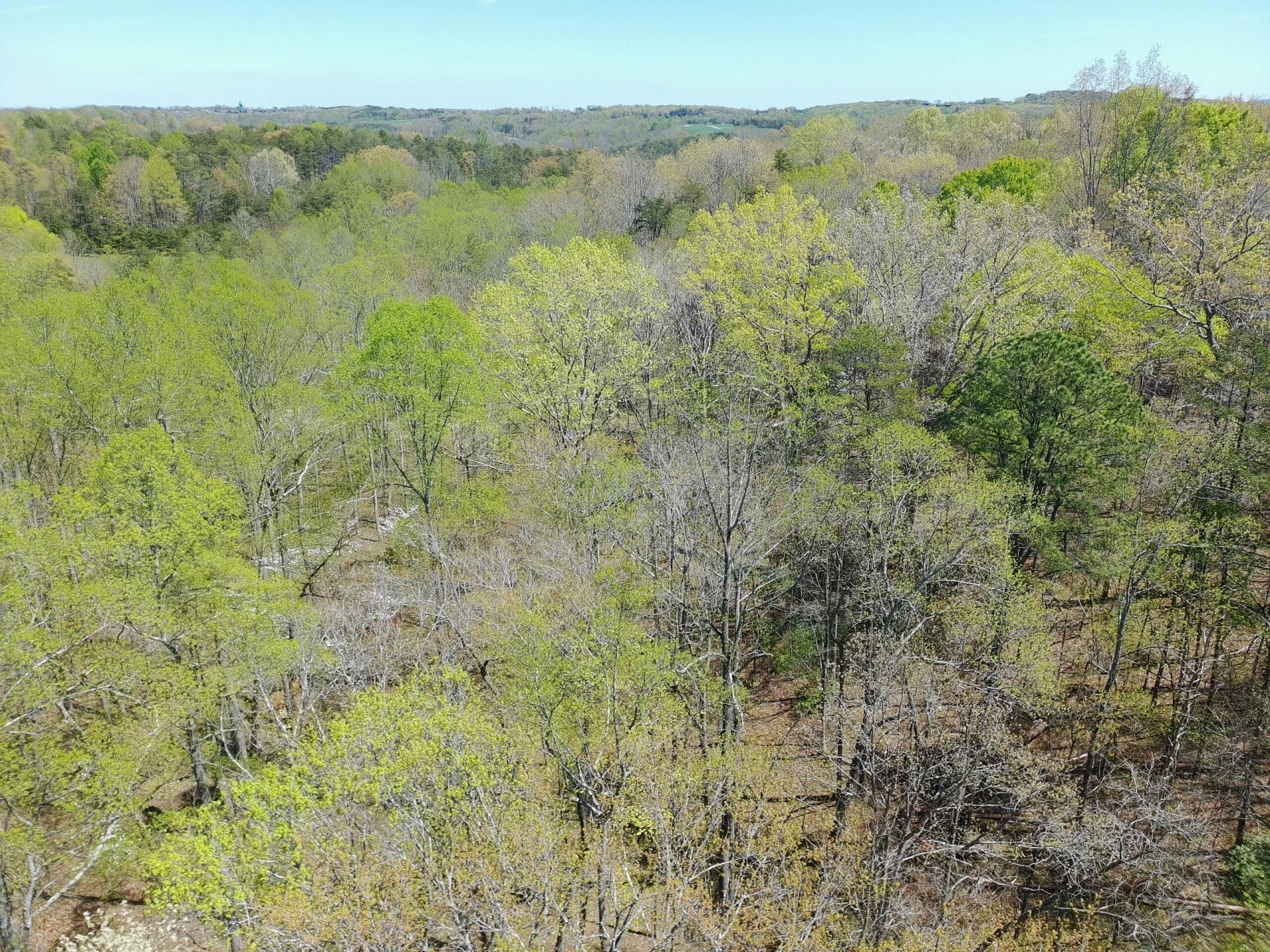 LOT9 GREYSTONE DR - Photo 7