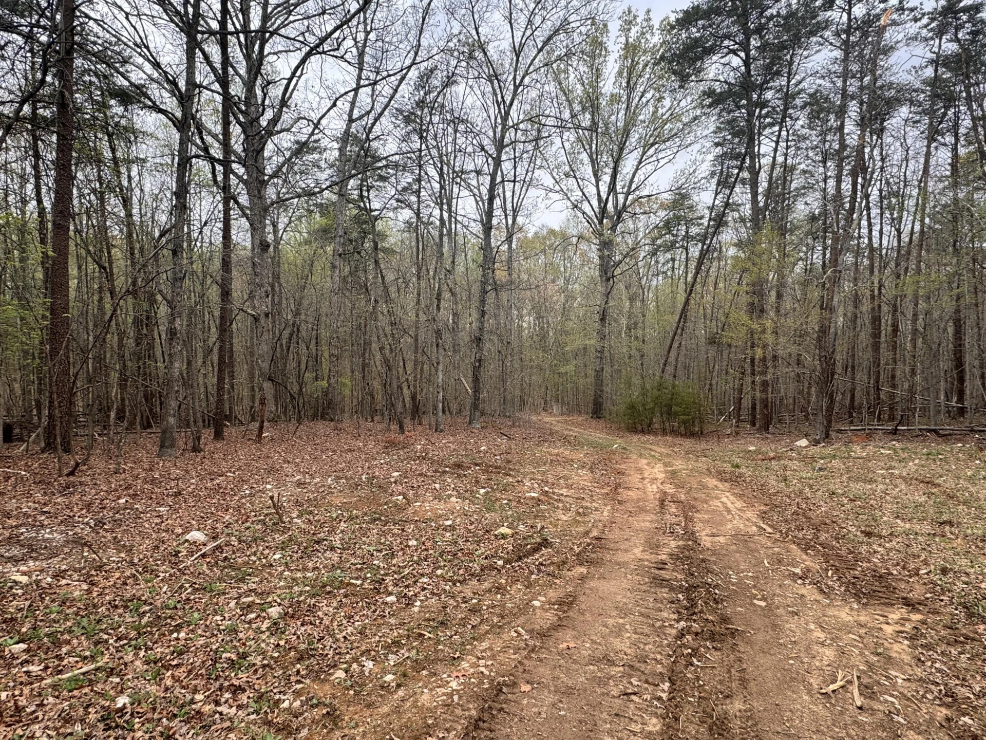 LOT9 GREYSTONE DR - Photo 8