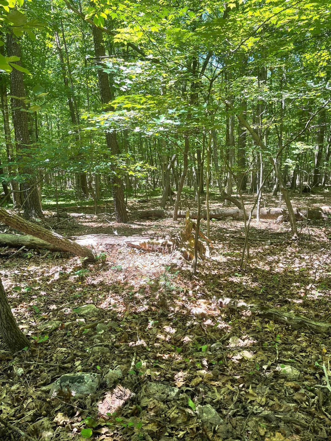 LOT9 GREYSTONE DR - Photo 9
