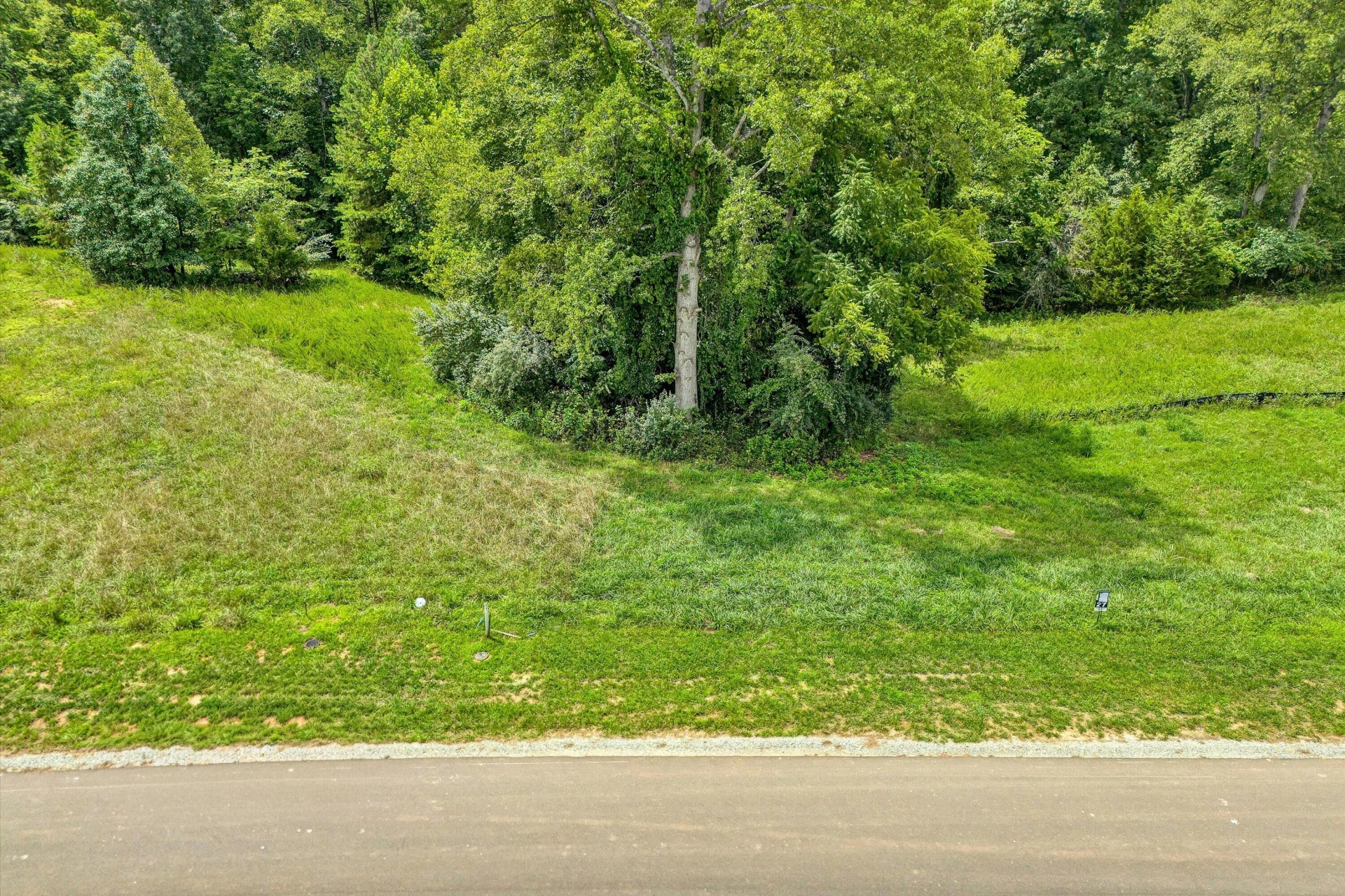 Lot 27 Bridgewater Grande DR - Photo 12