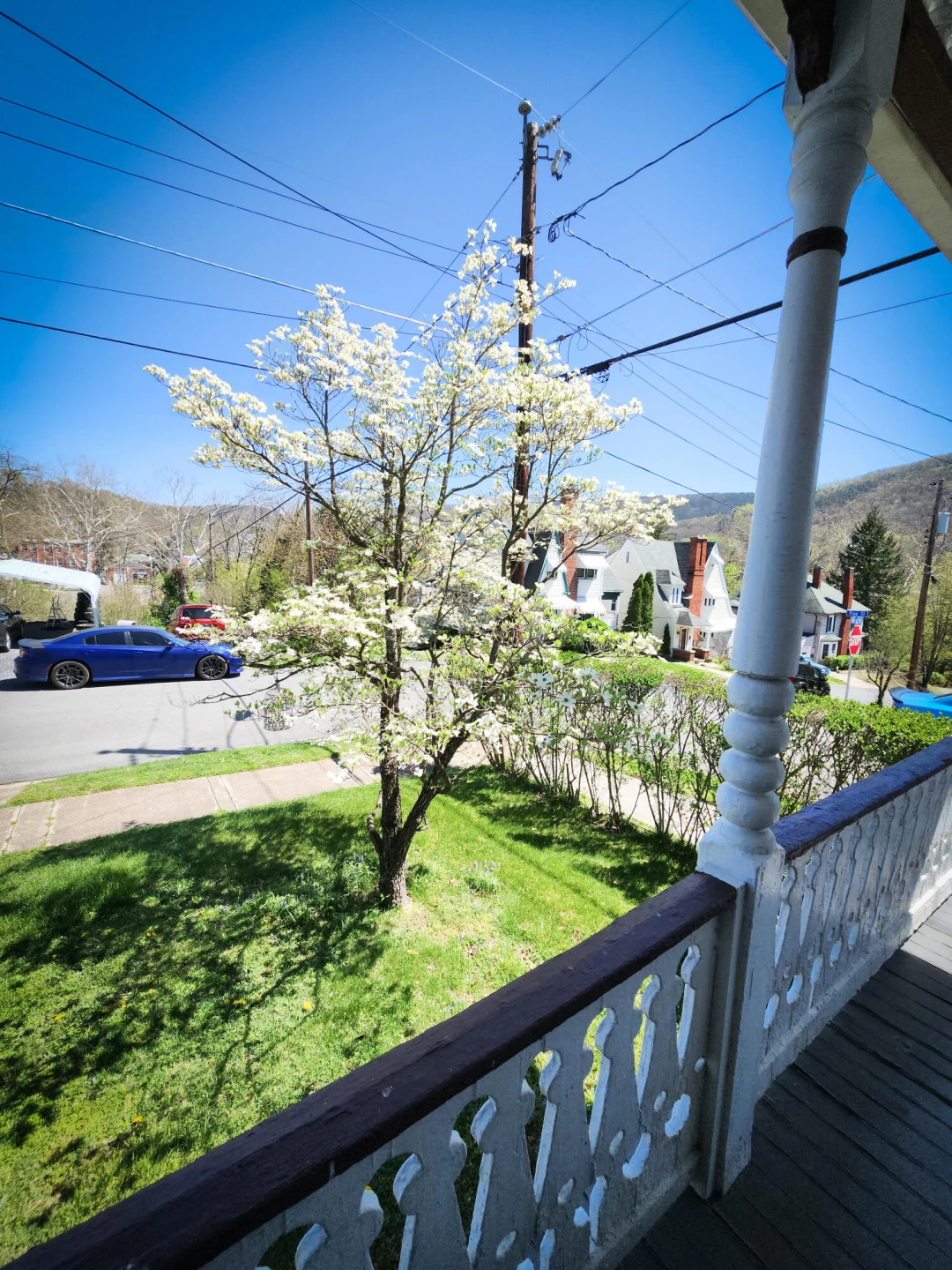 501 Brussels AVE - Photo 11