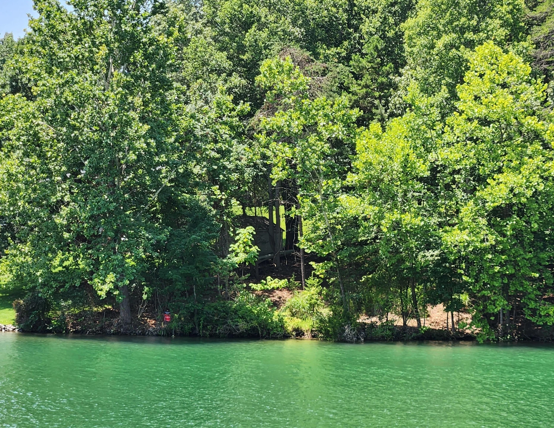 206 Summer ( Lot 4) LN - Photo 2