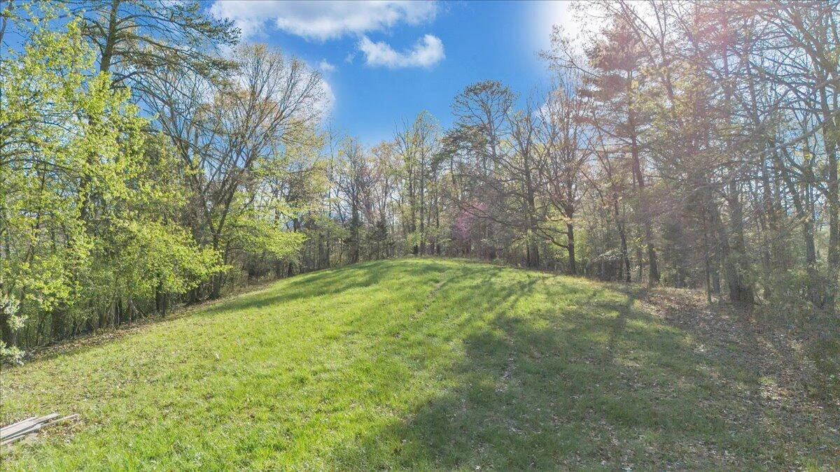 11 Ferns LN - Photo 57