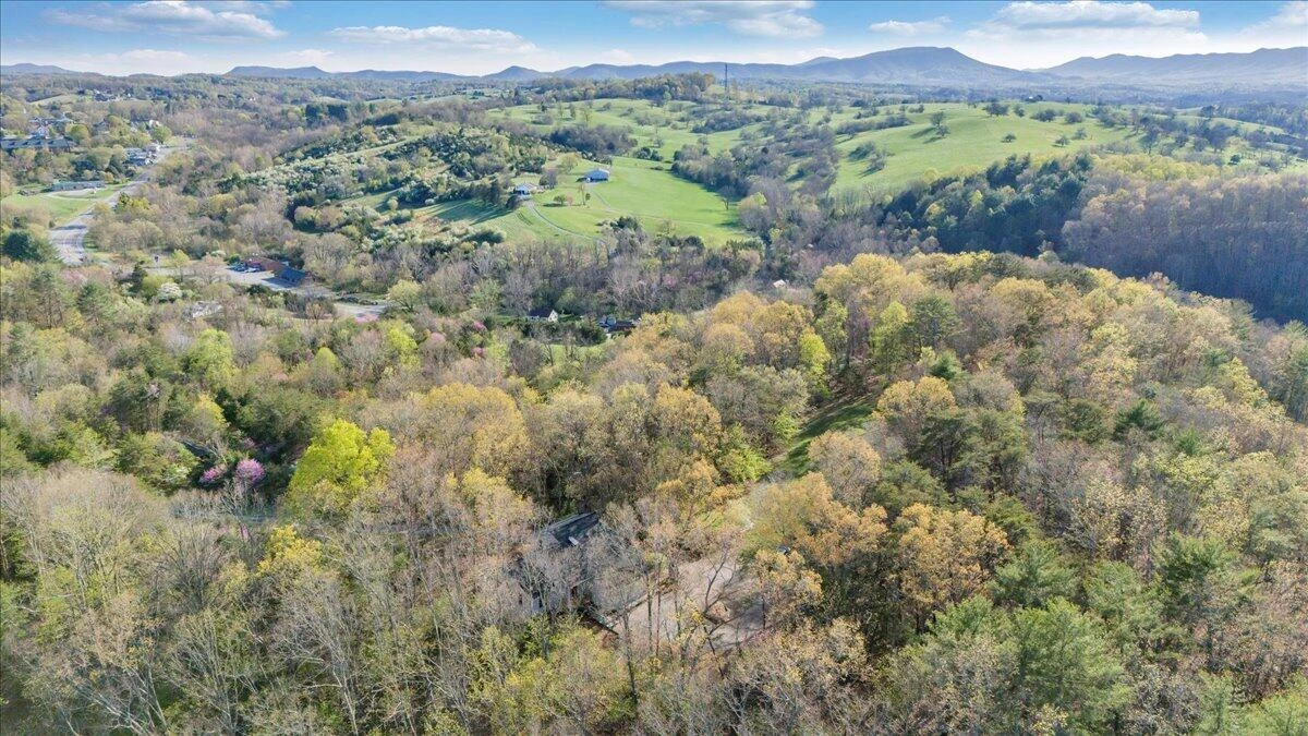 11 Ferns LN - Photo 59