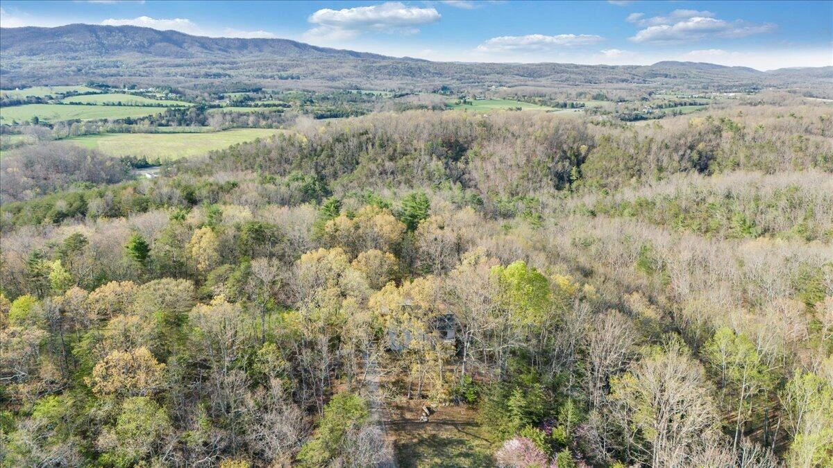 11 Ferns LN - Photo 60