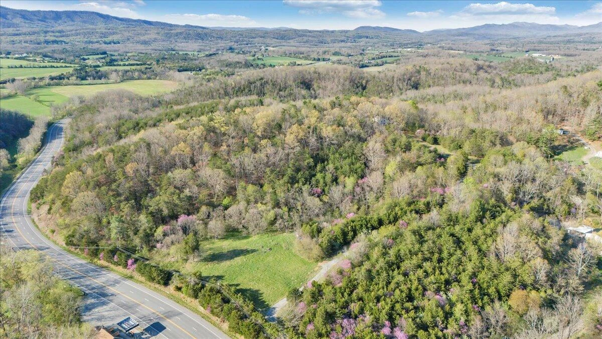 11 Ferns LN - Photo 61