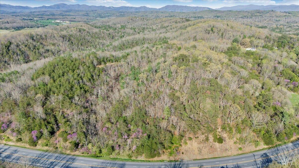 11 Ferns LN - Photo 62