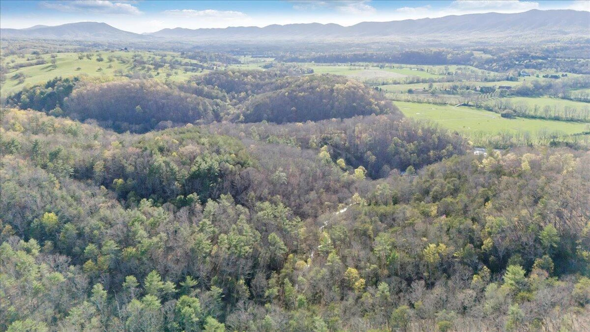 11 Ferns LN - Photo 64