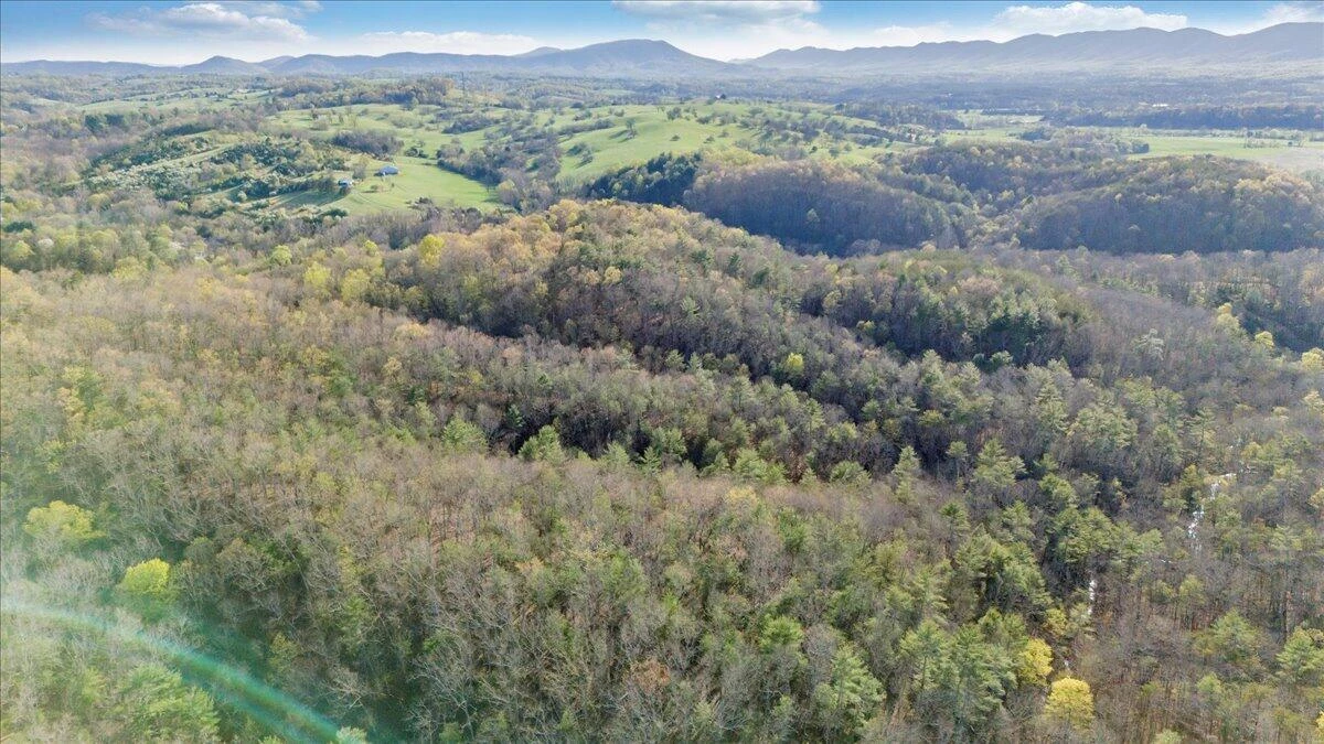 11 Ferns LN - Photo 65