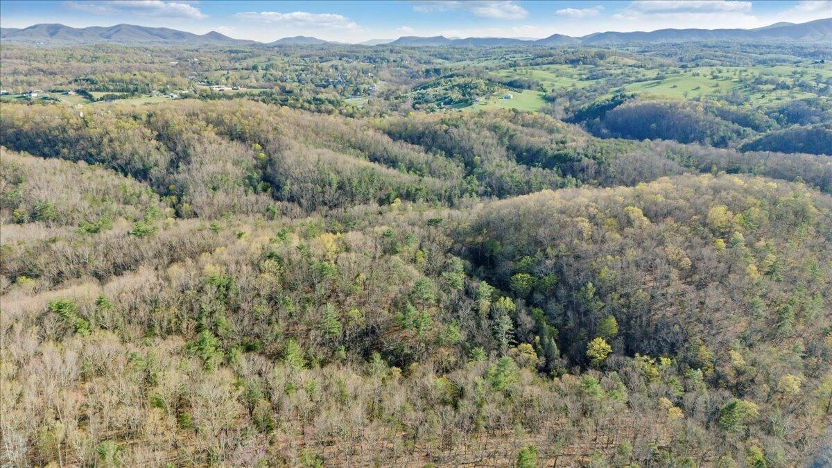 11 Ferns LN - Photo 67