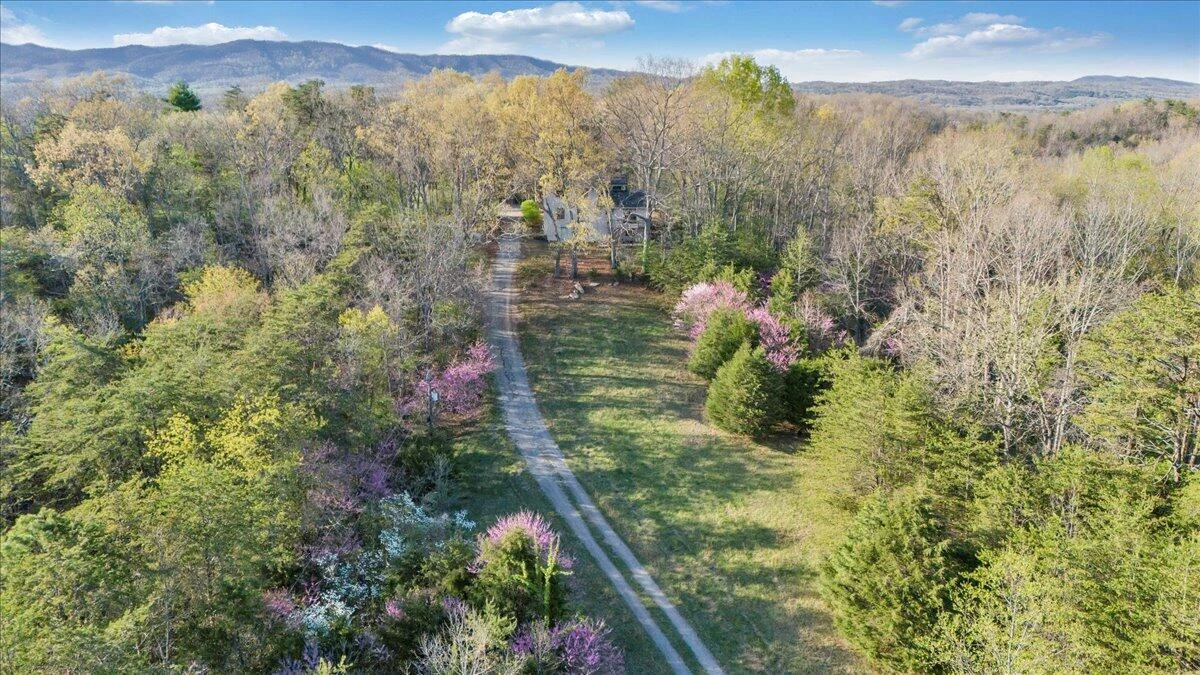 11 Ferns LN - Photo 70