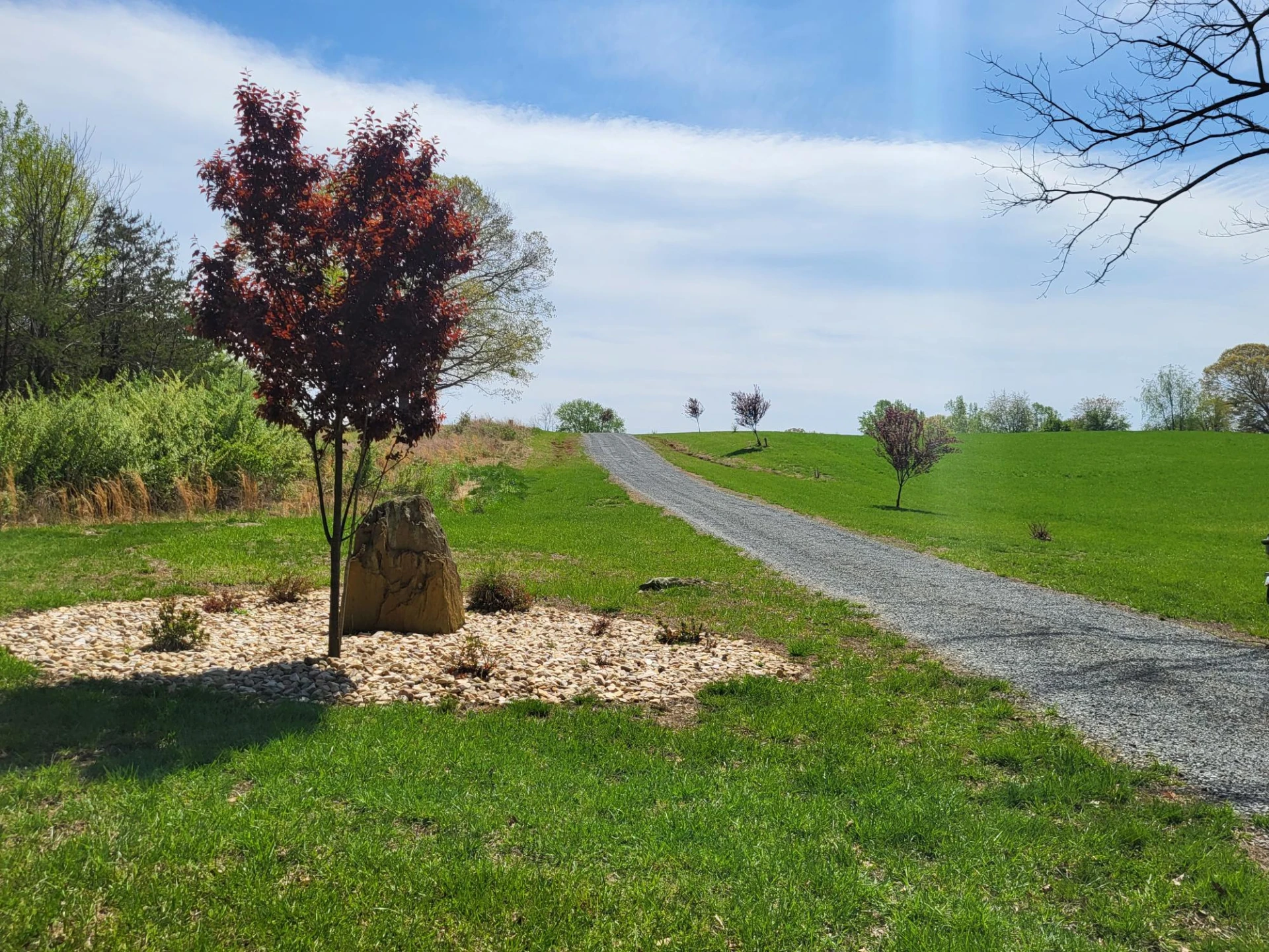 1533 Merriman Way RD - Photo 8