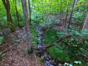 Lot 61 Lakepointe Cove CT, Glade Hill, VA, 24092