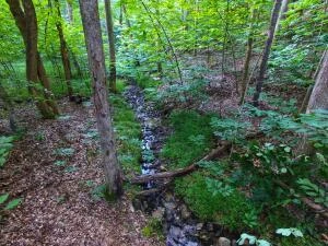 Lot 61 Lakepointe Cove CT