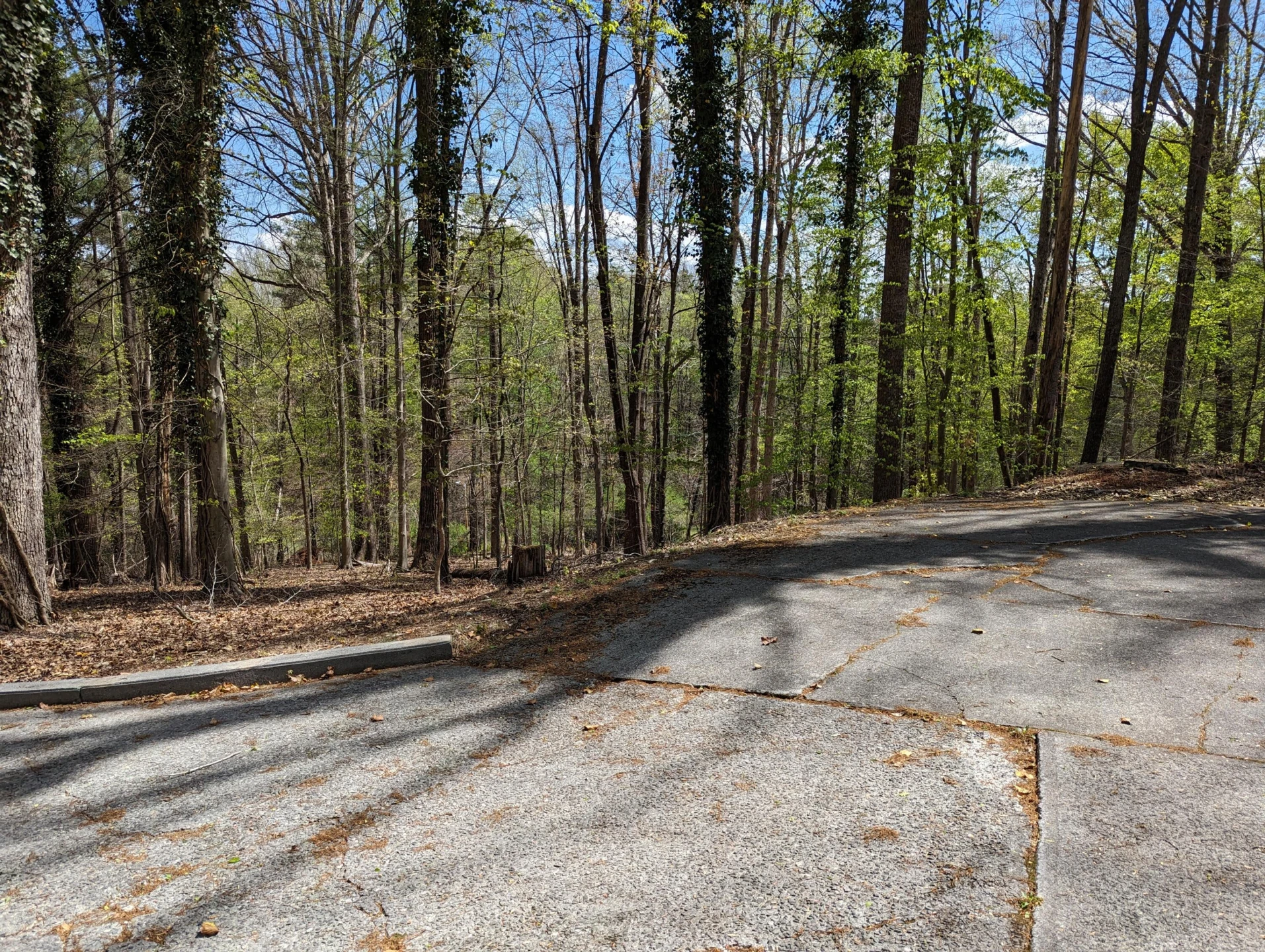 75 Foster ST - Photo 57