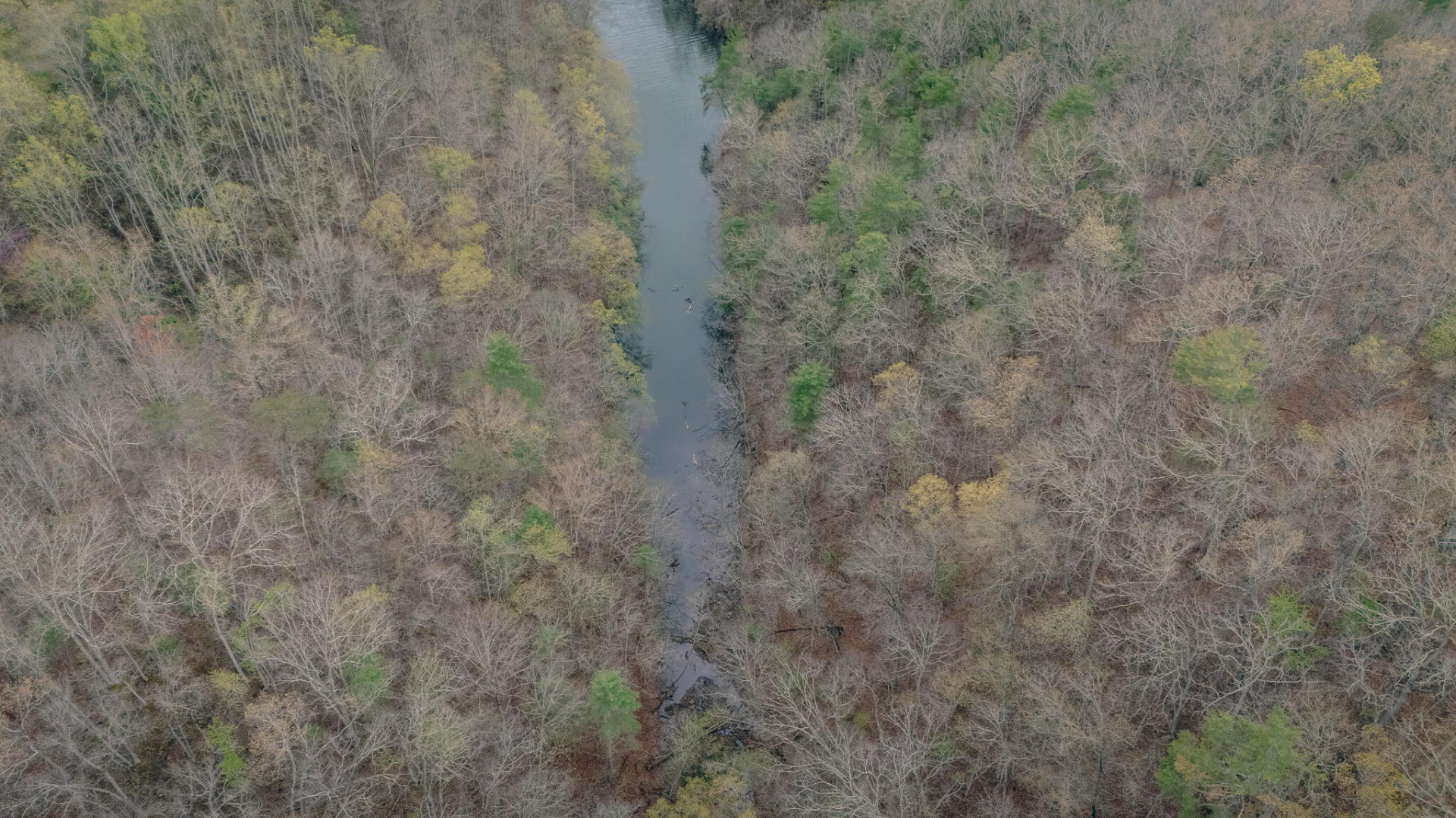 4048 Cabin Land DR - Photo 2