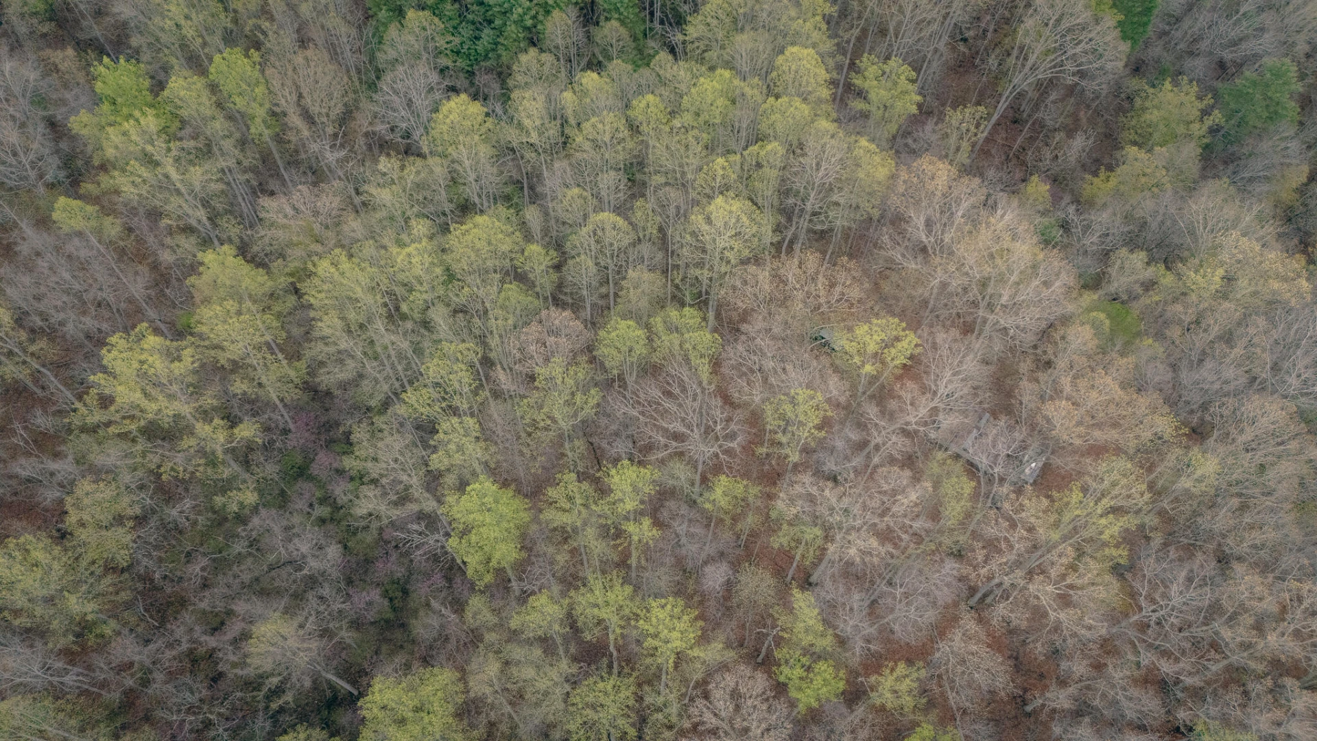 4048 Cabin Land DR - Photo 6