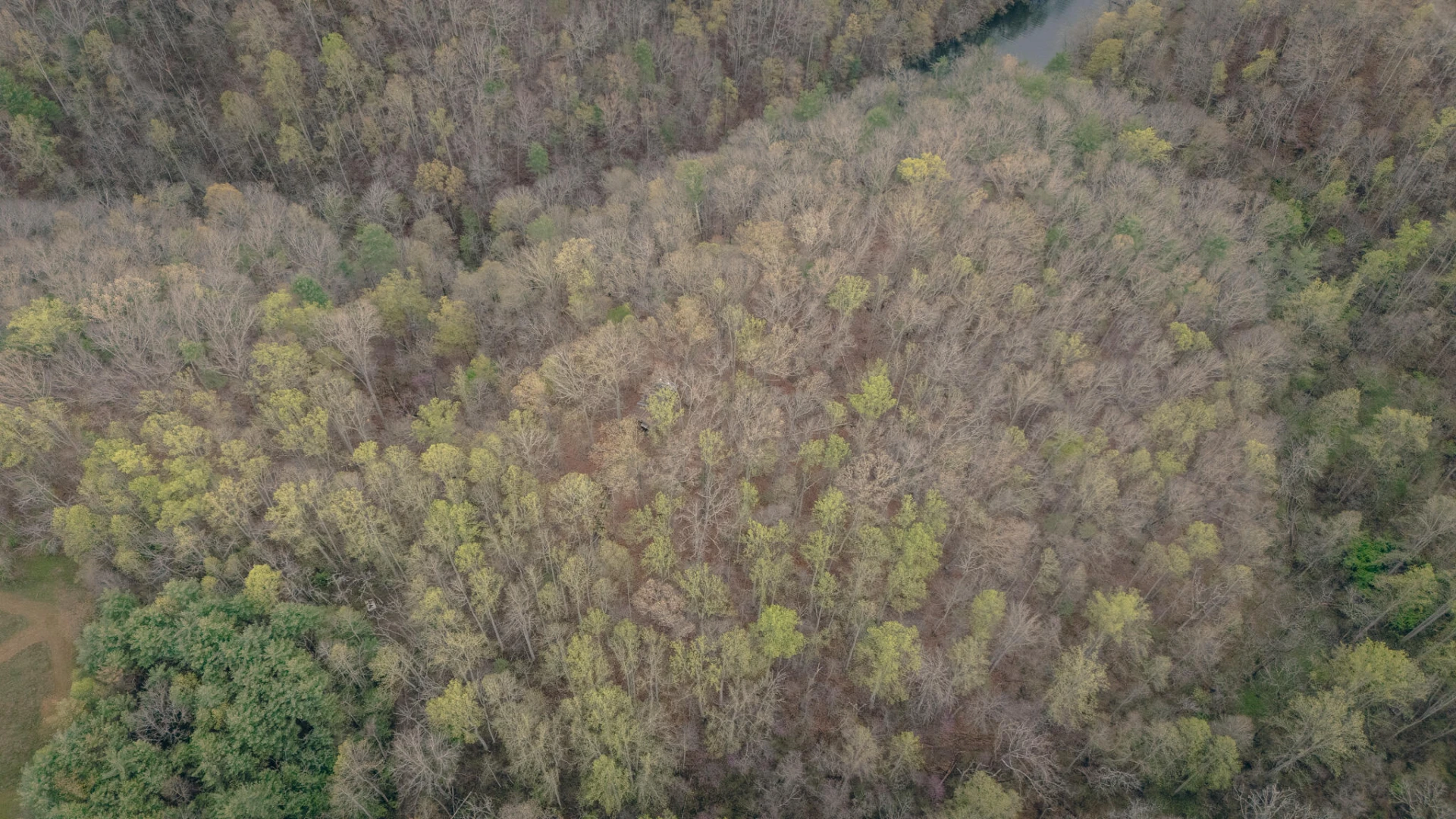 4048 Cabin Land DR - Photo 7