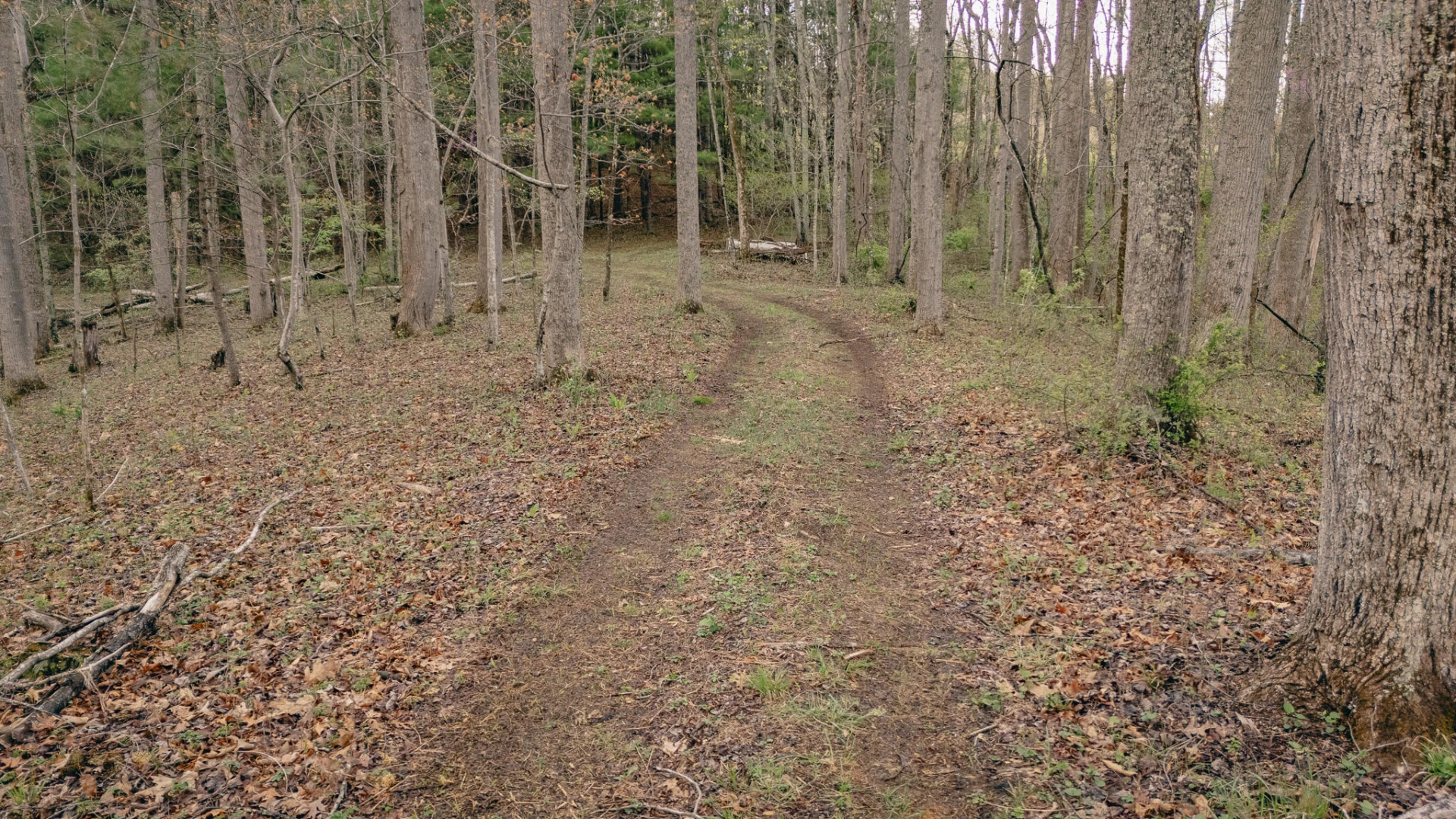 4048 Cabin Land DR - Photo 8