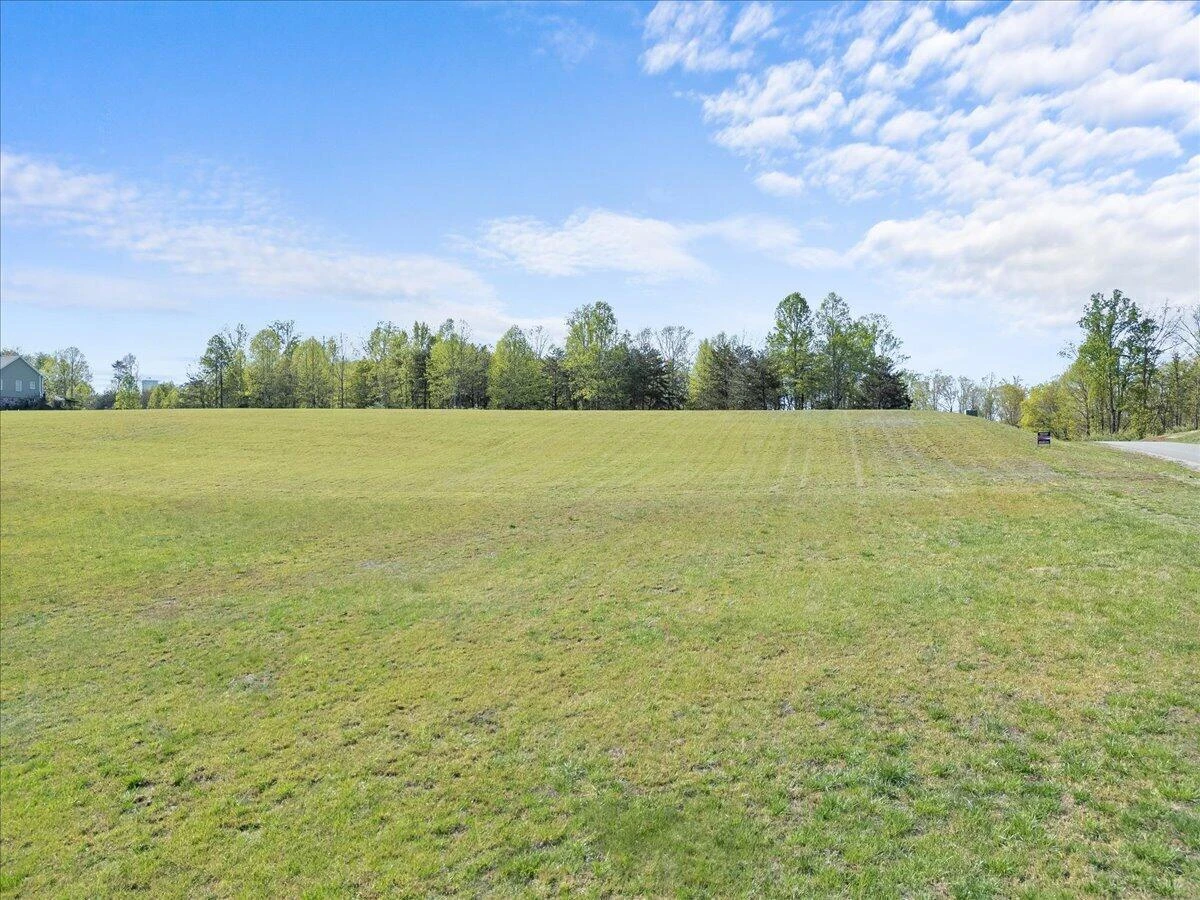 Lot 43 Congressional WAY - Photo 4