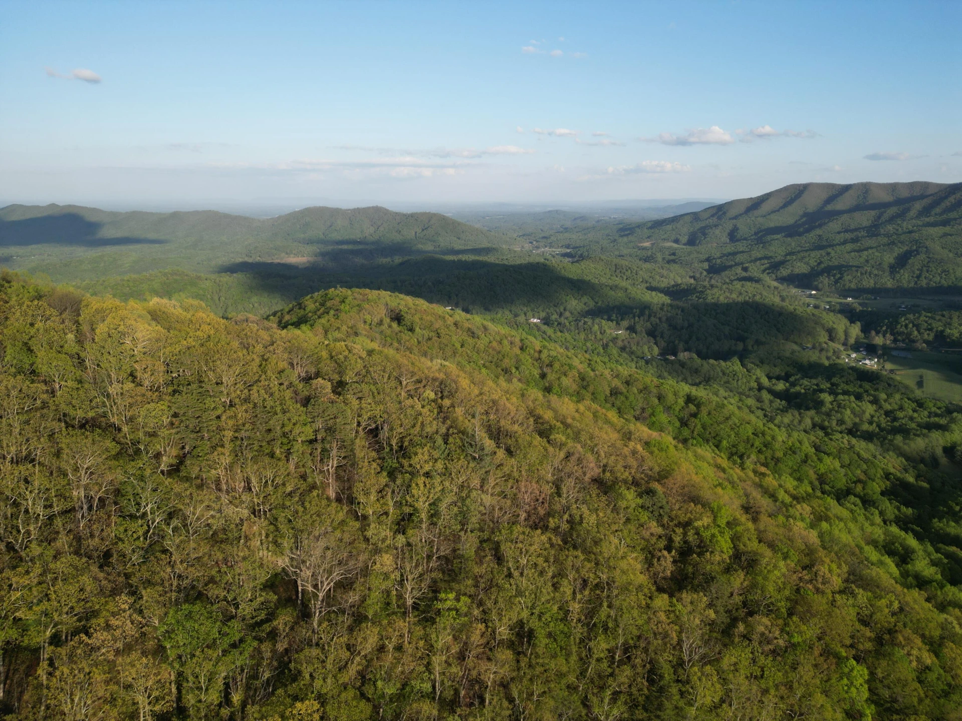 00 MASONS KNOB RD - Photo 11