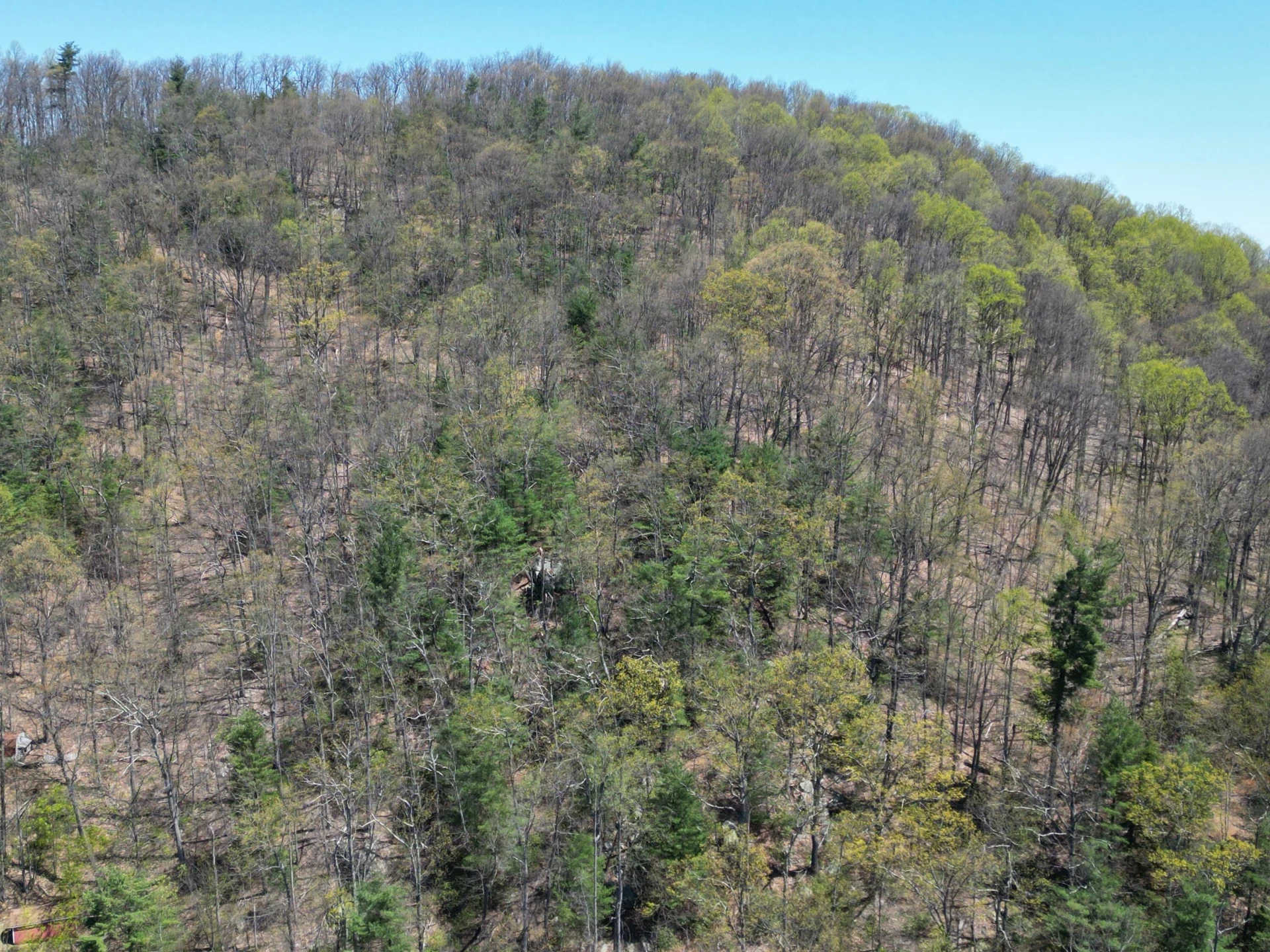 00 MASONS KNOB RD - Photo 13